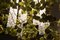 Flower Power Kronleuchter mit Behang aus Muranoglas & Kunstblumen von VGnewtrend 5