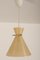 Austrian Plastic Pendant Lamp by J. T. Kalmar for Kalmar, 1950s 5