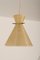 Austrian Plastic Pendant Lamp by J. T. Kalmar for Kalmar, 1950s, Image 2