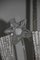 Lustre en Verre de Murano de Barovier & Toso, 1940s 6