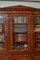 William IV Mahogany Bookcase 16