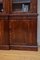 William IV Mahogany Bookcase 7