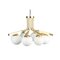 Globe I Chandelier by Mambo Unlimited Ideas 1