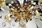 19th Century Louis XV Style Crystal Chandelier 2