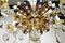 19th Century Louis XV Style Crystal Chandelier, Image 2