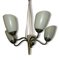 Lámpara de techo Tulip de latón, años 50, Imagen 1