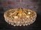 Large Austrian Brass & Crystal Chandelier by Lobmeyr for Bakalowits & Söhne, 1960s 4