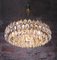Large Austrian Brass & Crystal Chandelier by Lobmeyr for Bakalowits & Söhne, 1960s 7