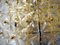 German Crystal and Gold Plating Ceiling Lamp from Kinkeldey, 1960s 7