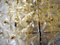 German Crystal and Gold Plating Ceiling Lamp from Kinkeldey, 1960s, Image 7