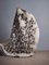 Suovilla Wool Carpet by Marianne Huotari for Finarte 3