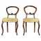 Antique Louis Philippe Italian Walnut Side Chairs, 1850s, Set of 2 1