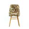 Fabric and Wood Floral Dining Chair from Drevotvar, 1960s 6