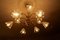 Lustre Viennois à 12 Lampes par Emil Stejnar pour Rupert Nikoll, 1950s 8
