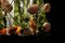 Lampadario Poppy Flower Power in vetro di Murano champagne di VGnewtrend, Immagine 14
