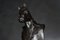 Buste Marengo en Céramique Noire par Marco Segatin pour VGnewtrend, Italie 4