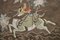Arazzo Meiji antico in seta, Giappone, fine XIX secolo, Immagine 5
