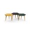 Low Yellow Tabuli Table by Vincenzo Castellana for DESINE, 2018 2