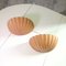French Shell Wall Lights, 1970, Set of 2 1