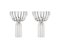 Margot Champagne Coupes by Felicia Ferrone for fferrone, Set of 2 1