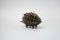 Modular Brass Hedgehog Ashtray by Walter Bosse for Hertha Baller, 1950s 2