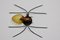 Italienische Mid-Century Spider Wandlampe, 1950er 3