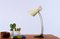 Lampada da tavolo Diabolo in ottone di Cosack, anni '50, Immagine 9