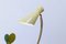 Lampada da tavolo Diabolo in ottone di Cosack, anni '50, Immagine 7