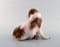 Escultura de perro pequinés modelo 1637 vintage de porcelana de Bing & Grondahl, Imagen 1
