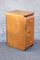 Plywood, Pine, and Steel Cabinet from Mobilor, 1950s 5
