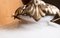 Opaline Glass Ceiling Lamp, 1920s, Image 6