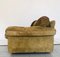 Vintage Sofa by Tito Agnoli for Poltrona Frau, 1970s 4