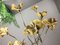Italian Brass Tree Floor Lamp With Brass Flowers, 1970s 5