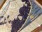 Vintage Ptolemy's World Map from Biblioteca Apostolica, Image 6