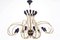 Lámpara de araña italiana vintage de 24 brazos de G.C.M.E., años 50, Imagen 1