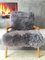 Bentwood and Gray Sheepskin Armchair from TON, 1960s, Image 4