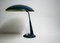 Lámpara de mesa ajustable de Louis C. Kalff para Philips, años 60, Imagen 2