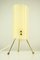Lámpara de mesa trípode vintage de latón y acrílico, años 50, Imagen 1