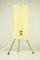 Vintage Brass & Acrylic Tripod Table Lamp, 1950s, Image 1