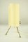 Dreibeinige Vintage Tischlampe mit Füßen aus Messing & Lampenschirm aus Acryl, 1950er 7