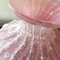 Pink Glass Vase from Seguso, 1950s, Image 15