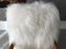 Mid-Century Bentwood and White Sheepskin Armchair, Image 11