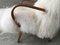 Mid-Century Bentwood and White Sheepskin Armchair, Image 8