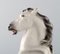 Statuetta vintage a forma di cavallo in porcellana di Keramos, Austria, anni '40, Immagine 2