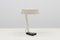 No. 135 Desk Lamp by H. Th. J. A. Busquet for Hala, 1950s 1