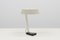 No. 135 Desk Lamp by H. Th. J. A. Busquet for Hala, 1950s, Image 1