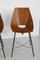 Vintage Bentwood Dining Chairs from Societa Compensato Curvato, 1960s, Set of 6 15