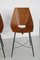 Vintage Bentwood Dining Chairs from Societa Compensato Curvato, 1960s, Set of 6, Image 15