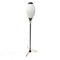 Mid-Century Italian Opaline Glass Floor Lamp, 1950s, Image 1