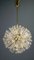 Lámpara de araña Dandelion de Emil Stejnar para Rupert Nikoll, años 50, Imagen 1